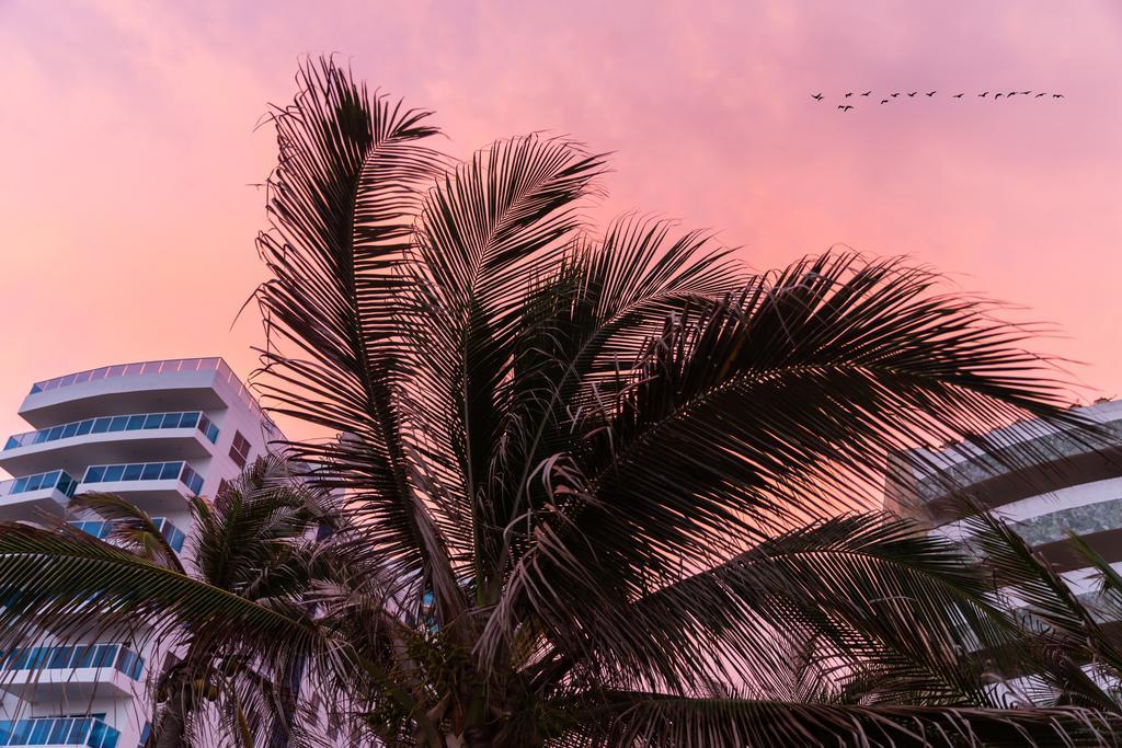 Vistamarina Casa Hotel (Adults Only) Cartagena Eksteriør bilde